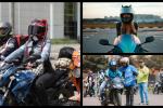 Curso gratis para mujeres moteras