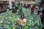 Expopet 2025