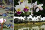 Jardín Botánico celebra sus 70 años: plan perfecto para este festivo