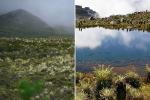 Páramo de Sumapaz