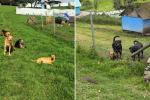 Refugio que deberá ser desalojado en El Rosal
