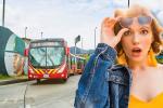 TransMilenio activa rutas para el Festival de Verano: no hay excusas