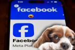 Se le llevaron hasta el perro: cita por Facebook terminó en pesadilla en Suba