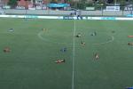 Abejas en Millonarios vs. Envigado