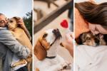 Animales rescatados buscan a su amigo secreto: regalos que transforman vidas