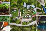 Bioparque Monarca: aventura familiar en Tenjo con mariposario incluido