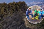 Cerros Orientales reverdecen: la siembra equivale a 41 canchas de fútbol