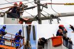 Calles sin luz en Bogotá: así puede reportar fallas de alumbrado público