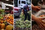 Precios en Corabastos hoy 4 de septiembre de 2025: alimentos que más bajaron de precio este jueves