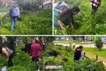 Ciudad Bolívar florece con la Huerta María Cano y su poder comunitario