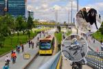 Mascotas no sufrirán en la Ciclovía de Bogotá: Distrito les arregla el paseo