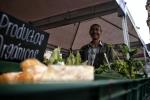 Agricultor ofreciendo sus productos en mercado campesino