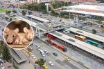 Enormes ratas en zona de comidas del portal de TransMilenio calle 170