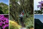 Sendero Las Moyas: precios, rutas y todo para disfrutar este tesoro natural