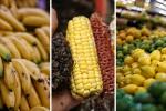 Precios en Corabastos hoy 3 de octubre de 2025: alimentos que más bajaron este viernes