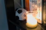 Cortes de luz en Bogotá, Chía, Cajicá y Soacha, 9 de octubre de 2025