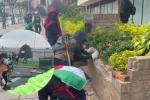 Se metieron en los barrios: manifestantes hacen de las suyas en la calle 26
