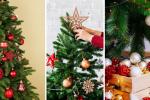¿Cuándo poner el árbol de Navidad? Inicie con todo el espíritu festivo