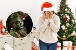 ¿Se volvió Grinch sin querer? Expertos revelan por qué pasa