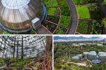 Cierre del Jardín Botánico de Bogotá en Año Nuevo: fechas y horarios