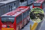 TransMilenio cierra estaciones en la Avenida Caracas: árbol cayó en la vía
