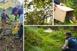 CAR cerró el año con liberación de fauna silvestre y trabajo ambiental
