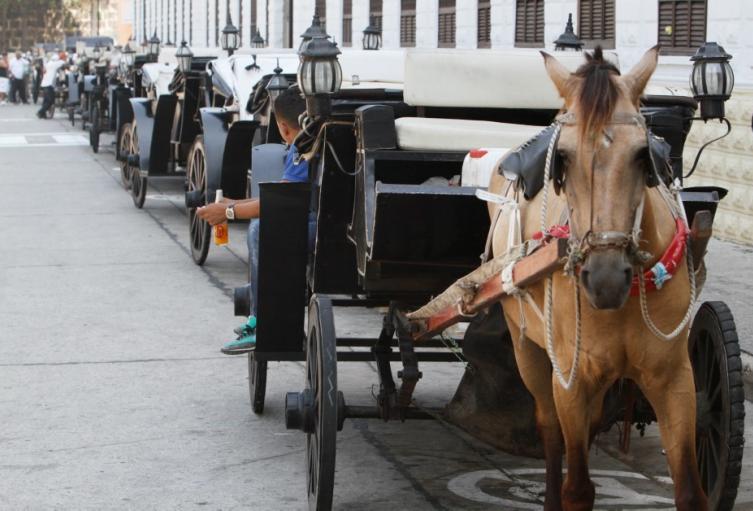La acción legal se basa en la declaración de patrimonio al Centro Histórico por la Unesco en 1984.