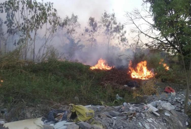Incendios forestales.