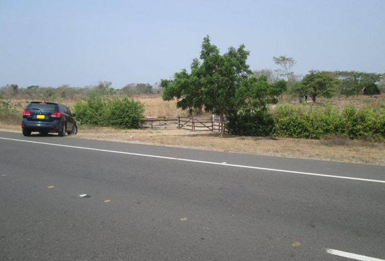 Hombre fue embestido y murio en arroyo de piedra