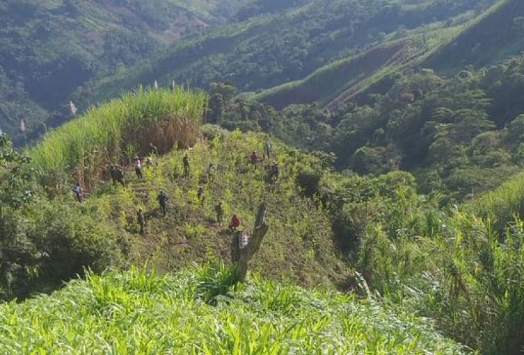 Erradicación de cultivos ilícitos en Campamento, Antioquia.