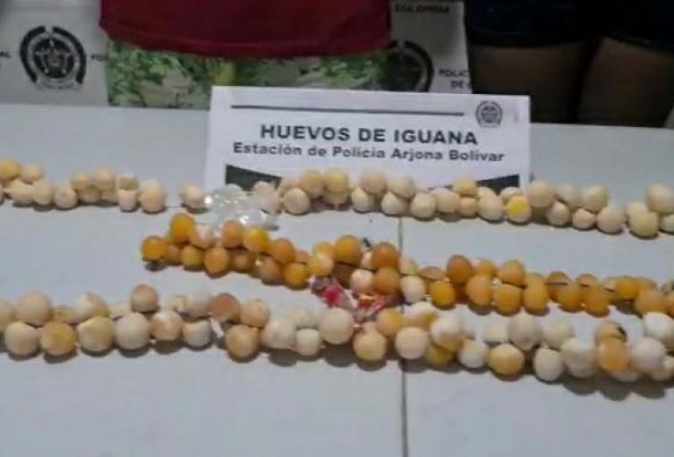 Esta actividad está prohibida