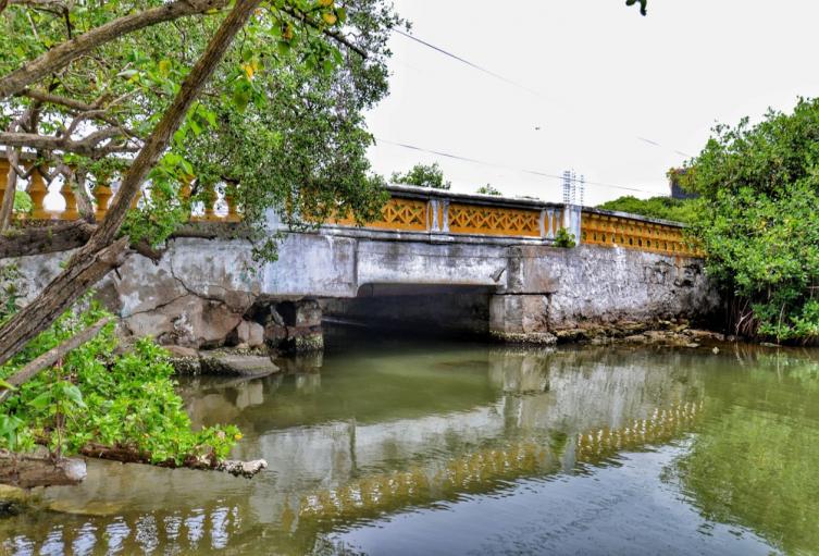 Puente Las Palmas, Manga