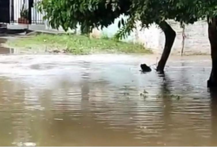 Inundación a causa de las fuertes lluvias en Curumaní.