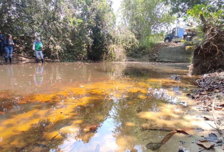 Mortandad de peces Puerto Wilches