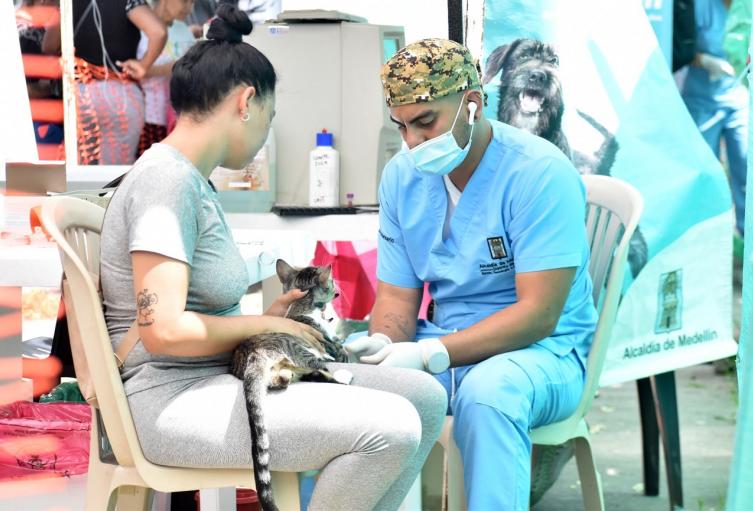 Jornadas gratuitas de esterilización de perros y gatos en Medellín