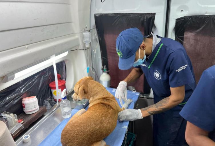 Esterilización 
