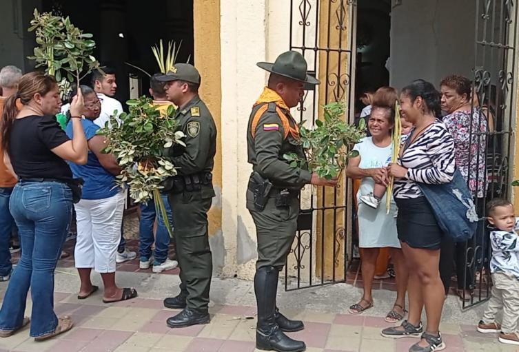 El propósito es desestimular el uso de la Palma de Cera, a través de nuevas alternativas 