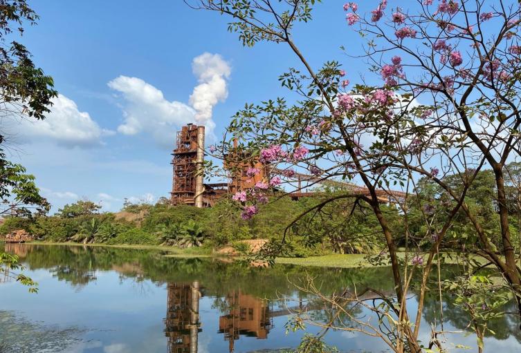 Cerro matoso referencia