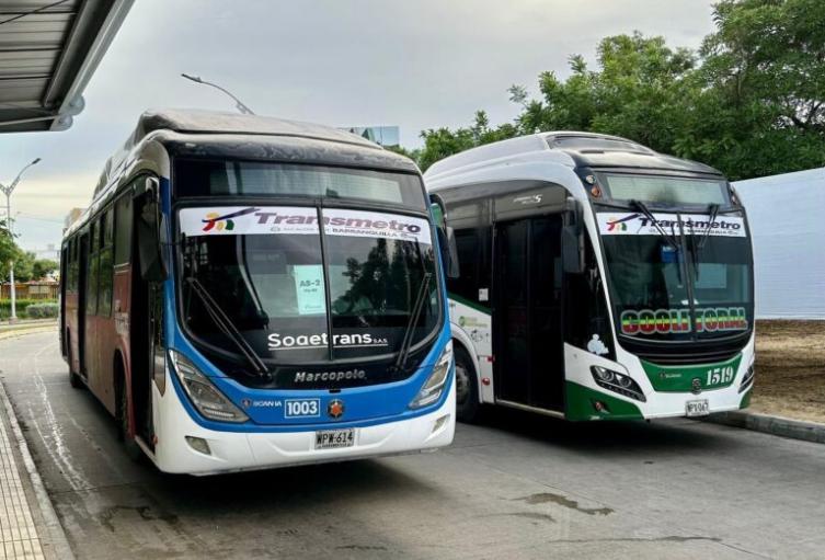 Buses padrones