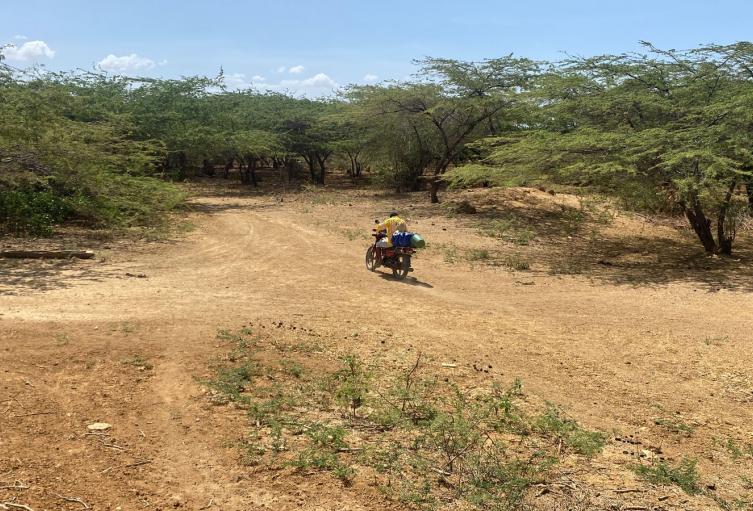 Referencia Alta Guajira comunidades wayúu