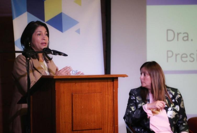 Delegada del Gobierno con el ELN