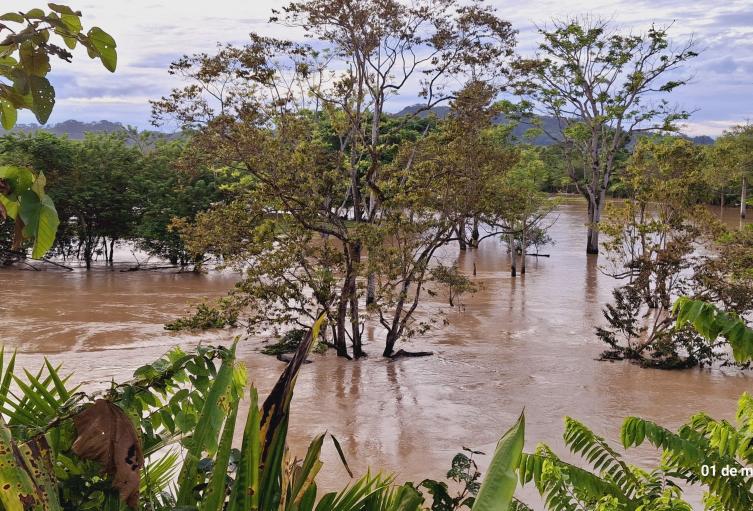  Muchas familias damnificadas 