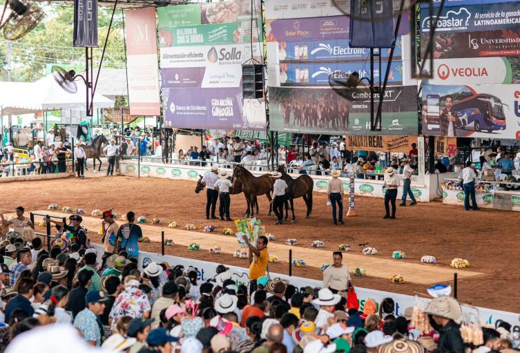 Feria de la ganaderìa