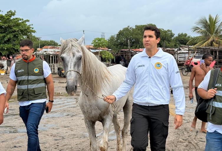 Distrito aprehende caballo tras denuncia de maltrato animal en Cartagena