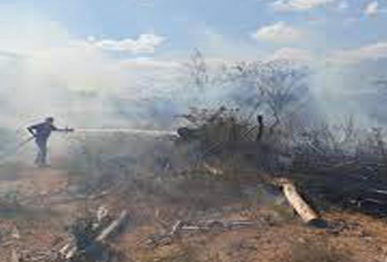 Incendios forestales.