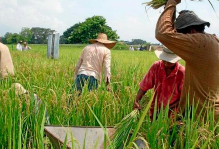 Agricultores apoyarán el paro nacional.