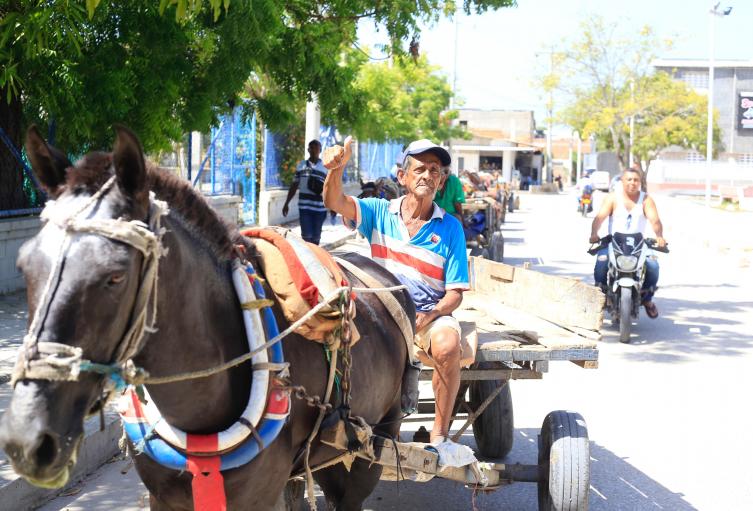 Carromuleros 
