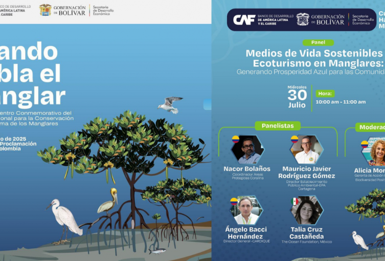 foro en Cartagena para protección de manglares foro en Cartagena para protección de manglares