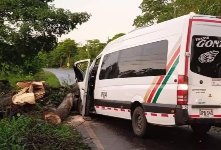 Accidente con árbol