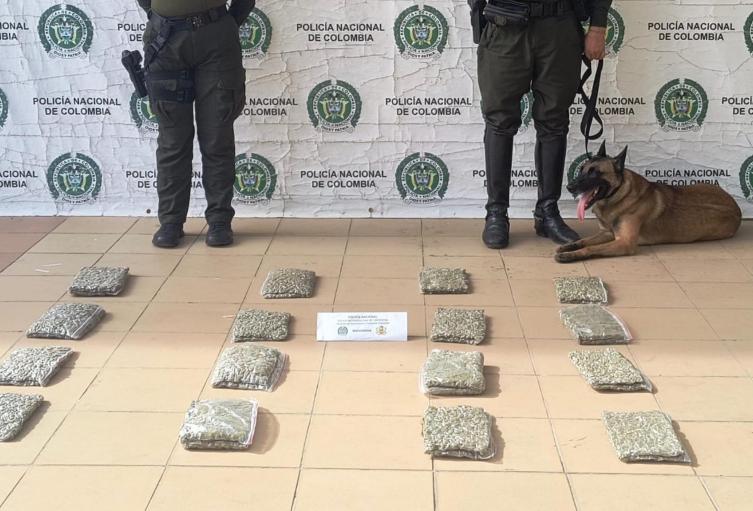 Canino de la Policía en Cartagena ha detectado más de 60 mil dosis de estupefacientes 